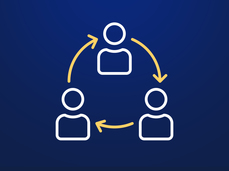 Partnerystės programa