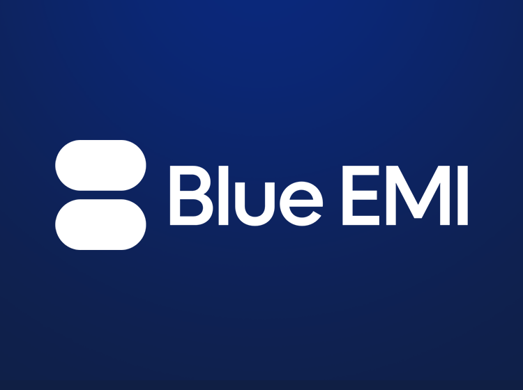 Blue EMI - įmokų surinkimo platforma