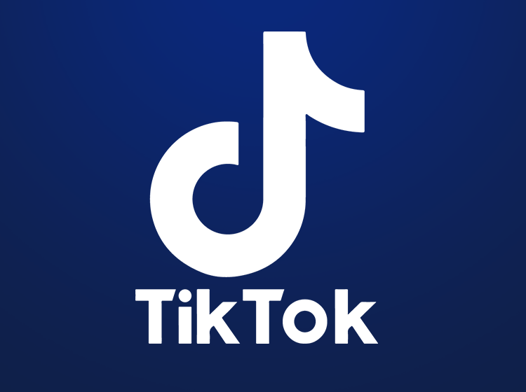 TikTok pixel sąsajos valdymas